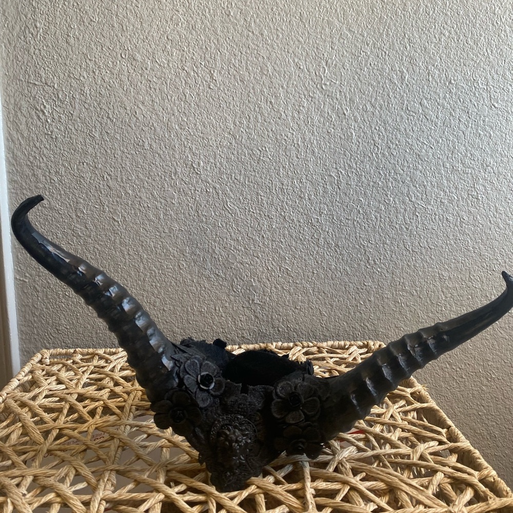 Ram horns cosplay/Halloween